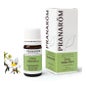 Pranarôm essencial Corsican labdanum oil 5ml
