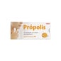 Sawes caramelos própolis sabor naranja sin azúcar 22g