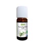 Propos Nature Bio Ätherisches Öl Eukalyptus Radiata 10ml