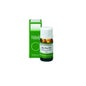 Aceite Esencial de Árbol de Té 10 ml