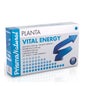 Plantavital Energy 20 10 Ampollas ml Prisma Natural