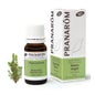 Pranarôm Aceite Esencial de Abeto Negro BIO 10 ml