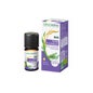 Tomillo natural Linalol Bio5 ml