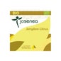 Josenea Jengibre Citrus BIO 15 pirámides en sobre