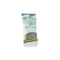 Gordolobo En Planta 10 g