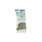 Gordolobo En Planta 10 g