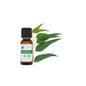 Voshuiles Aceite Esencial de Eucalipto Radiata 20ml