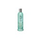 Natura Siberica champú anticaspa 400 ml