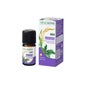 Incienso Naturactiv He Bio 5 ml