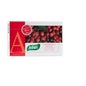 Santiveri Arándano Rojo 60 mg 40 caps