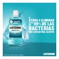 Listerine Enjuague Bucal Mentol 250ml