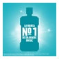 Listerine Enjuague Bucal Mentol 250ml