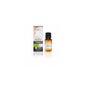Terpenic Aceite Esencial Eucaliptus Globulus 10 ml