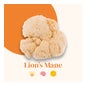 French Mush Lion's Mane Bio 56 Perlas