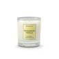 Cereria Molla Candle Madagascar Vanilla 1pc