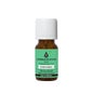 Ase Combe Organic Essential Oil Cinnamon of Ceylon 5ml