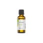 Terpenisches Eisenkraut Exotica 30ml