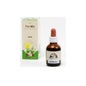 Renvin Olosvita 50 ml