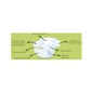 Chelino Nature T5 30 pcs Chelino Nature T5 30 pcs