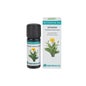 Equisalud Bio Essential Oil Estragón 10 ml
