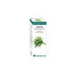 Equisalud Bio Essential Oil Estragón 10 ml