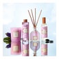 Collines de Provence Bouquet Perfumado Pachulí & Tonka 100 ml