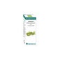 Bio Ätherisches Öl Kardamom 10 Ml.