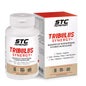 STC Nutrition Tribulus Synergy+ 90 Kapseln