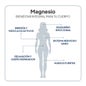 IVB Wellness Lab Magnesio Total 60 caps