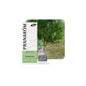 Ravensara Bio 10 ml Aceite Esencial