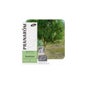 Ravensara Bio 10 ml Aceite Esencial