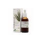 Extract Tail Horse Xxi Soria Natural