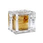 Q77plus Gold Regeneration Cream 250 ml