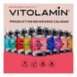 Vitolamin Biotina + Zinc + Selenio 365comp