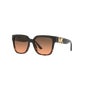 Michael Kors MK2170U Karlie Sunglasses 1ud