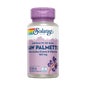 Solaray Saw Palmetto 60 Perlas