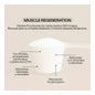 NDL Pro-Health Muscle Regeneration 2:1:1 Frutos del Bosque 300 g