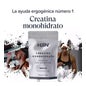 HSN Creatina Monohidrato en Polvo 1kg