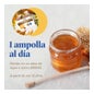 Arkopharma Arkoreal Inmunidad Equinácea Sin Azúcar 20 ampollas