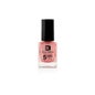 E. Llorca Esmalte de Uñas Nº 24