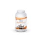 Etixx Recovery Shake Frambuesa Kiwi 1500g