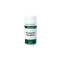 Holofit Ayurveda Ingwer 50 Kapseln