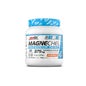 Amix Performance MagneChel Magnesium Chelate Drink Mango 420g