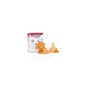 Chicco Tetina Silicona Normal Regulable +4 M 2 uds