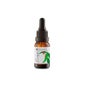 Quaste Ätherisches Öl Eukalyptus 30ml