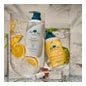 Dr. Tree Champú Dermoprotector Cuero Cabelludo Sensible 400ml