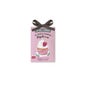 The Fruit Company Ambientador Armario Fresa Nata 13 g