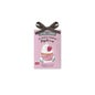 The Fruit Company Ambientador Armario Fresa Nata 13 g