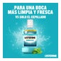 Listerine Enjuague Bucal Mentol 1000 ml