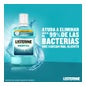 Listerine Enjuague Bucal Mentol 1000 ml